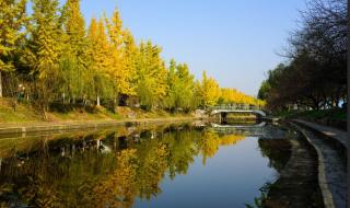 长江电力有几个水电厂 三峡水利电力学校